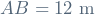 AB = 12 \ \mathrm{m}